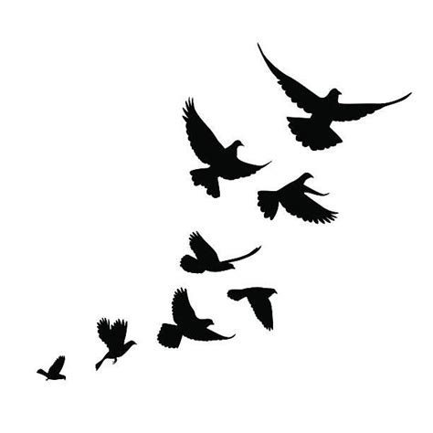 41.300+ Grafiken, lizenzfreie Vektorgrafiken und Clipart zu Dove Bird | Flying bird silhouette ...