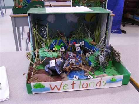 Gallery | Habitats projects, Ecosystems projects, Diorama kids