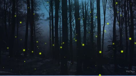 Firefly HD Wallpapers - Top Free Firefly HD Backgrounds - WallpaperAccess