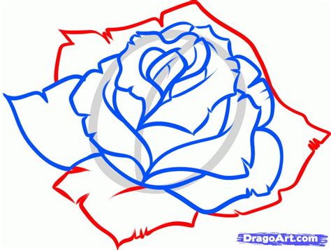 How to Draw a Blue Rose, Step by Step, Flowers, Pop Culture, FREE Online Drawing Tutorial, Added ...