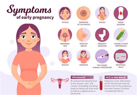 Implantation bleeding everything you need to know – Artofit