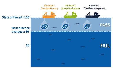 Fishery certification guide | Marine Stewardship Council