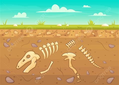 Cartoon Reptile Bones Ground Background, Bones, Ground, Archeology Background Image And ...