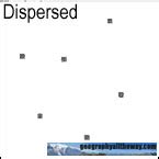 106: Settlement pattern types