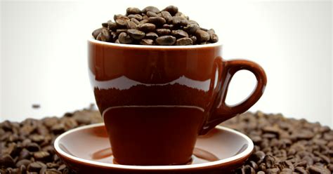 11 Best Dark Roast Coffee Beans You Have To Try