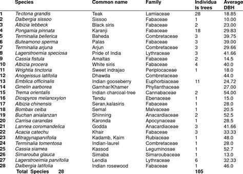 Types Of Indian Trees With Names