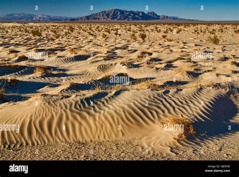 Dry arid harsh desert sand dune hi-res stock photography and images - Alamy