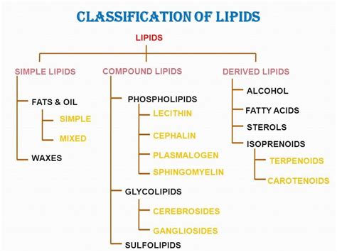 Classification of Lipids | Biochemistry notes, Clinical chemistry ...