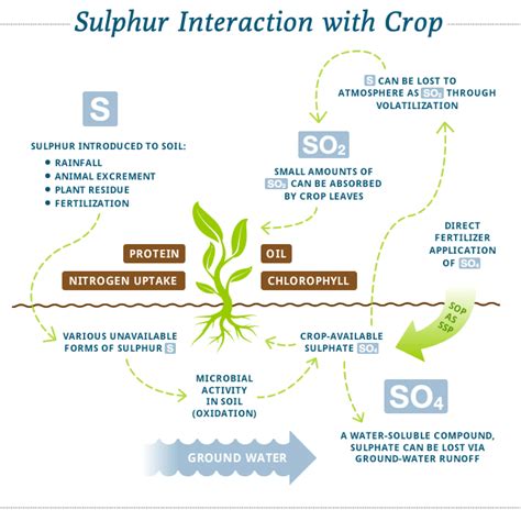 What is Sulphur? — Heartland Sulphur