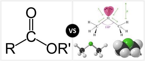 Ester vs. Ether - What's the difference? | Diffzi.com