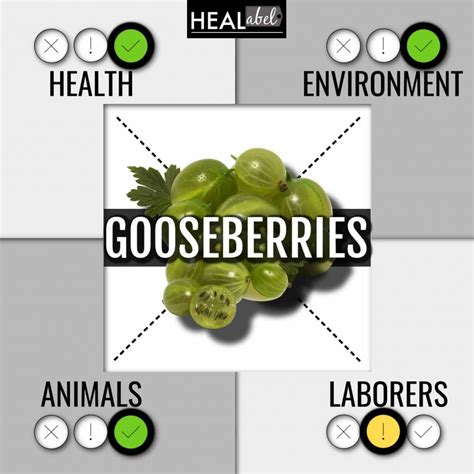 Gooseberry Benefits | Acidic Or Alkaline?