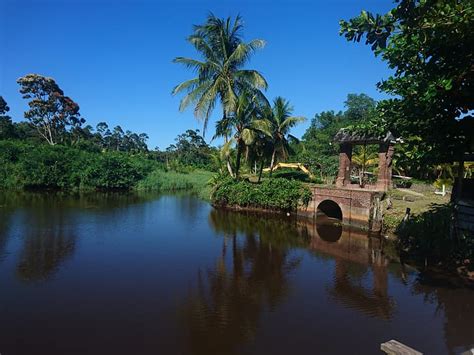 HD wallpaper: Suriname, Plantation Bakkie, Plantage Bakkie, Polder ...