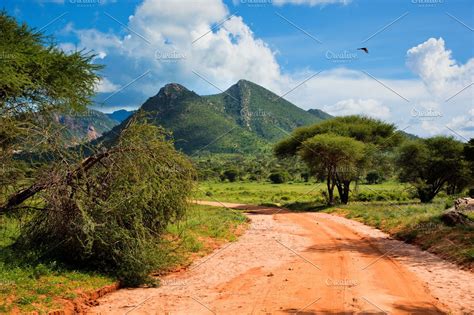 Savanna landscape in Kenya, Africa | High-Quality Nature Stock Photos ~ Creative Market