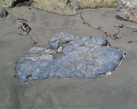 Estero Bay, Cayucos