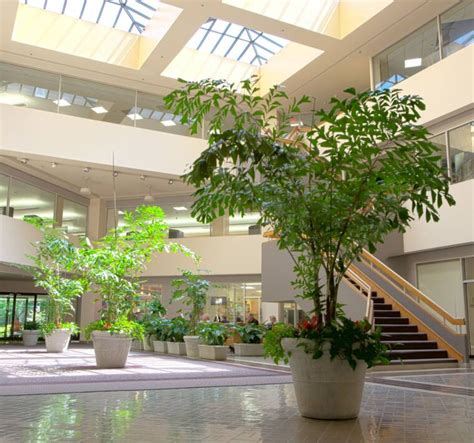 Atrium Planting - First impressions are a powerful