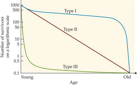 The survivorship curves presented by Deevey (1947) for animals in the... | Download Scientific ...