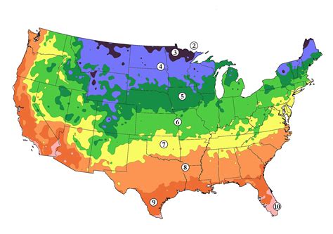 Climate Zones And Weather - vrogue.co
