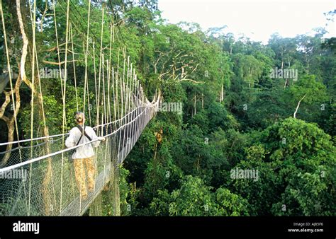 Kakum National Park Canopy Walk