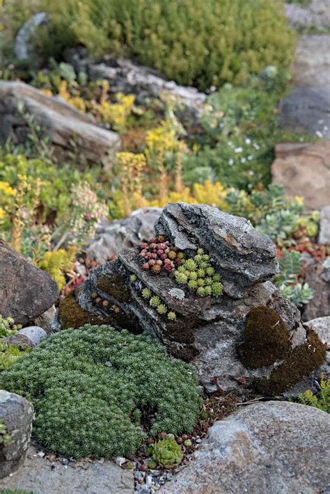 Rock Garden | Better Homes & Gardens