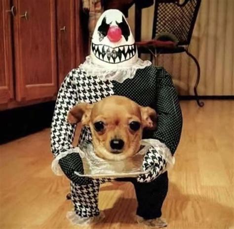 Pet Dog Costume Creativity Devil Dog Costume Suitable for - Etsy