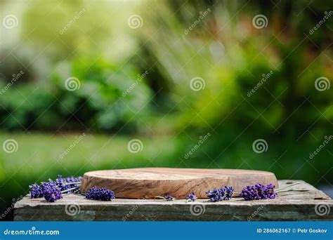 Empty wooden podium stock image. Image of podium, healthy - 286062167