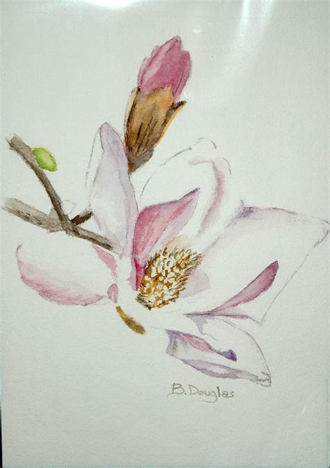 Japanese Magnolia Painting by Brenda Douglas | Fine Art America