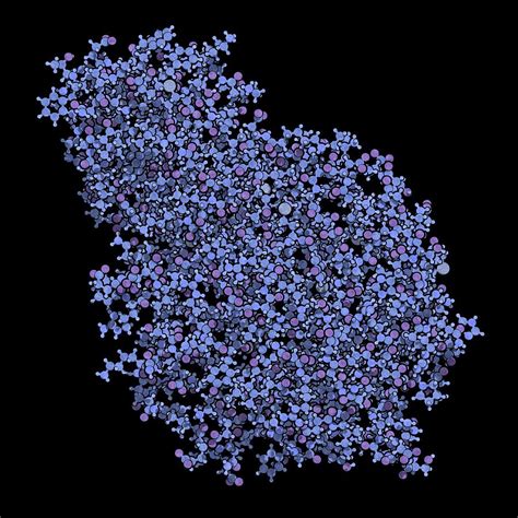 Alpha-galactosidase Enzyme Molecule Photograph by Molekuul/science Photo Library - Pixels