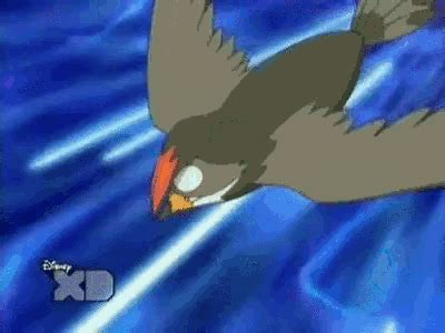 Pokemon Brave GIF - Pokemon Brave Bird - Discover & Share GIFs