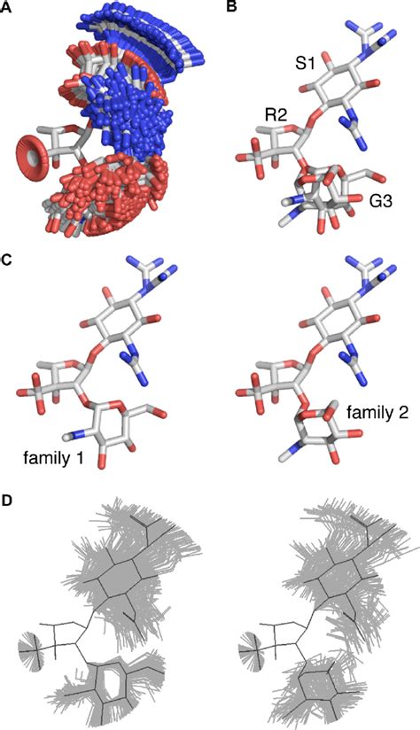 The dynamic 3D-structure of streptomycin in aqueous solution is... | Download Scientific Diagram