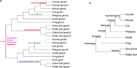 Last universal common ancestor | Semantic Scholar