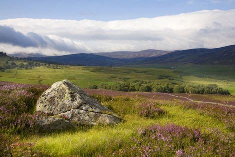 Scottish Moors | Scottish landscape, Scotland highlands, National parks