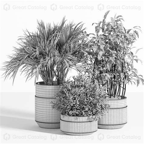 Potted Plants Indoor Set 16 3D model・Download 3D models