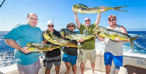 Sport Fishing Tournaments in Cabo San Lucas - Cabo San Lucas Fishing