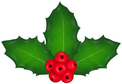 Christmas Mistletoe Transparent 13362783 PNG