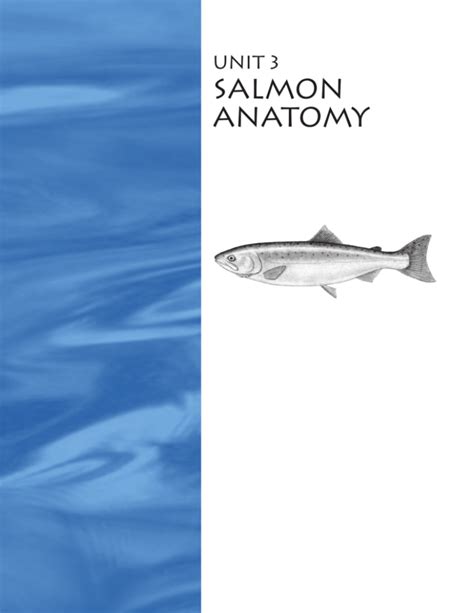 UNIT 3: Salmon Anatomy