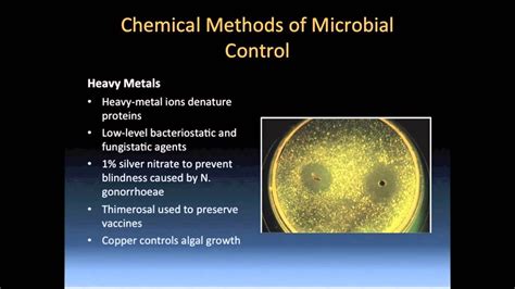 CHEMICAL METHODS OF CONTROL PART 2 - YouTube