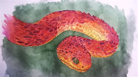 Snake Watercolor at PaintingValley.com | Explore collection of Snake ...