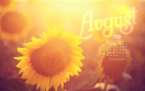 August 2016 - Sunflower Desktop Calendar- Free August Wallpaper