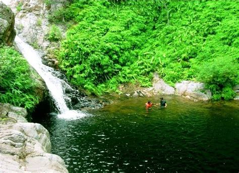 Nagalapuram Falls (Chittoor) - 2020 All You Need to Know BEFORE You Go (with Photos) - Tripadvisor