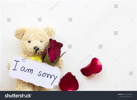 2,119 Apology rose Images, Stock Photos & Vectors | Shutterstock