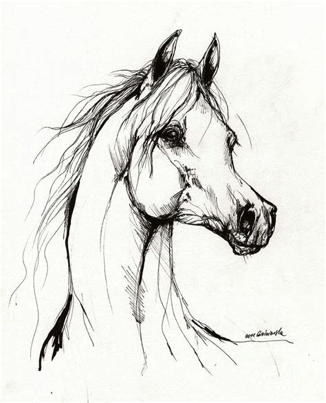 Tinta. China | Tete de cheval dessin, Painted horses, Dessin cheval