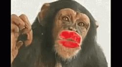 Cute Cartoon Giving Monkey Kiss GIF | GIFDB.com