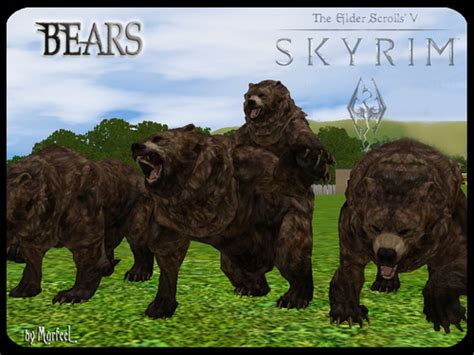 Skyrim BEARS