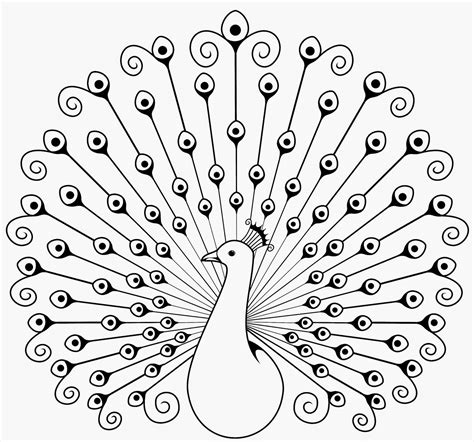 Peacock Drawing at GetDrawings | Free download