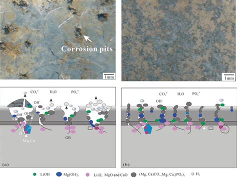 Corrosion Types of Magnesium Alloys | IntechOpen