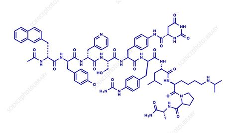 Degarelix prostate cancer drug molecule, illustration - Stock Image - F028/2547 - Science Photo ...