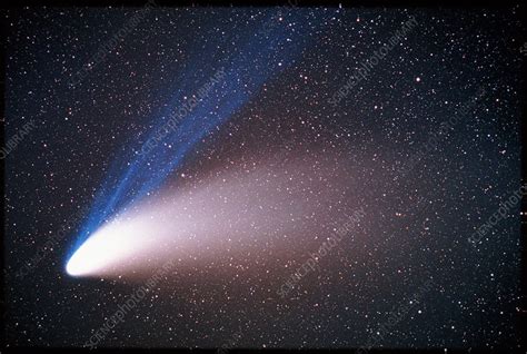 Comet Hale-Bopp - Stock Image - R451/0015 - Science Photo Library