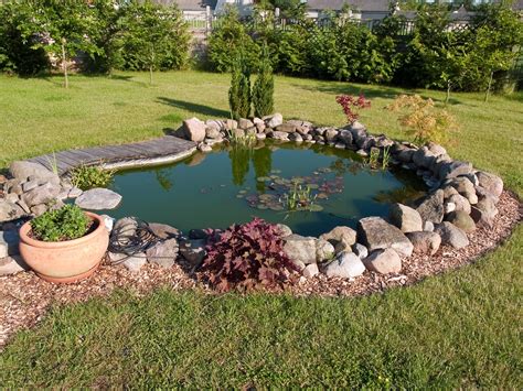 How to Set up a Koi Pond: The Ultimate Guide | Build Your Aquarium