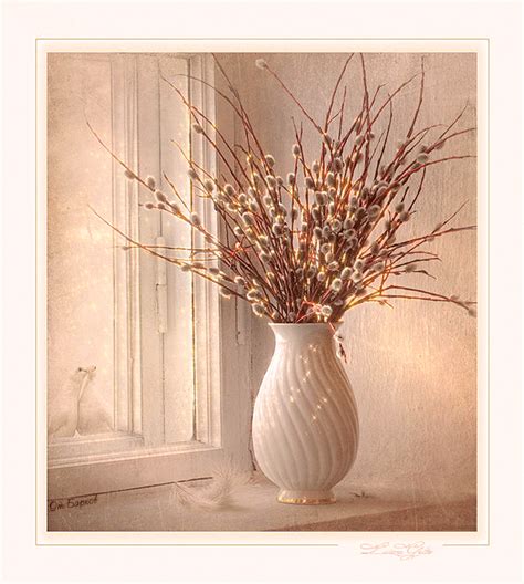 Праздник Вербное Воскресенье Pussy Willow, Willows, Still Life, Floral Design, Animation, Vase ...