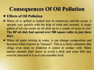 Oil Pollution | PPT